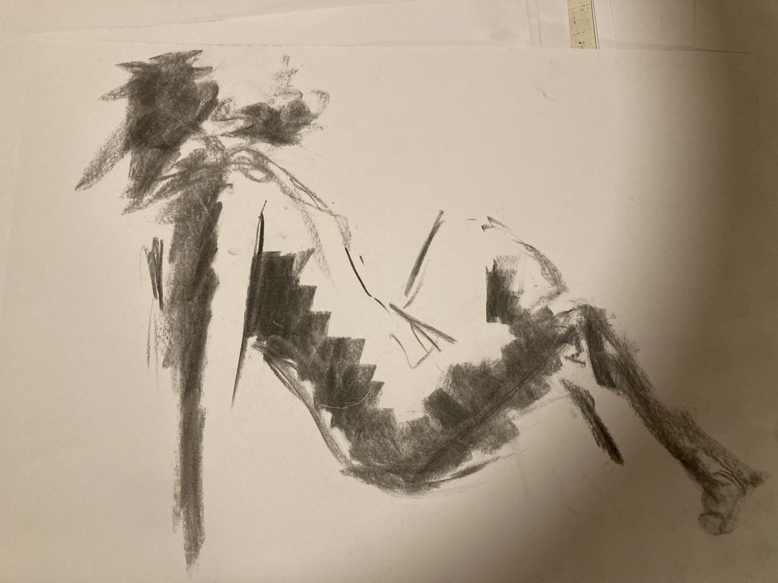 SPIRIT (2024), kul på papir, 20x30 cm.